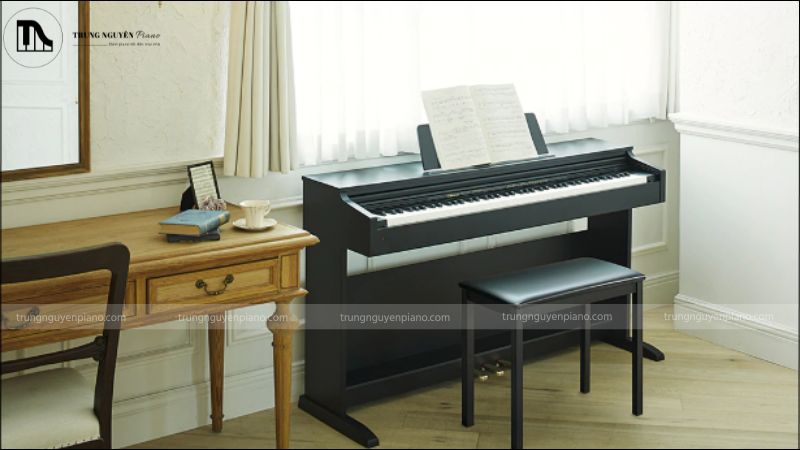 Đặt đàn ở nơi khô ráo, thoáng mát