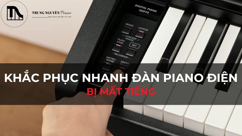 Khắc Phục Nhanh Lỗi Đàn Piano Điện Bị Mất Tiếng Chi Tiết