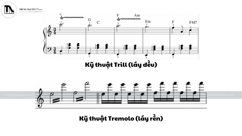 Kỹ thuật Trill (láy đều) và Tremolo (láy rền)