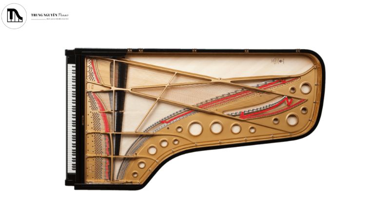 Mối liên hệ giữa kích thước, cấu tạo và chất lượng âm thanh