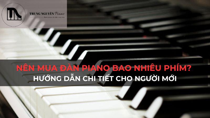 Nên Mua Đàn Piano Bao Nhiêu Phím? Hướng Dẫn Chi Tiết Cho Người Mới