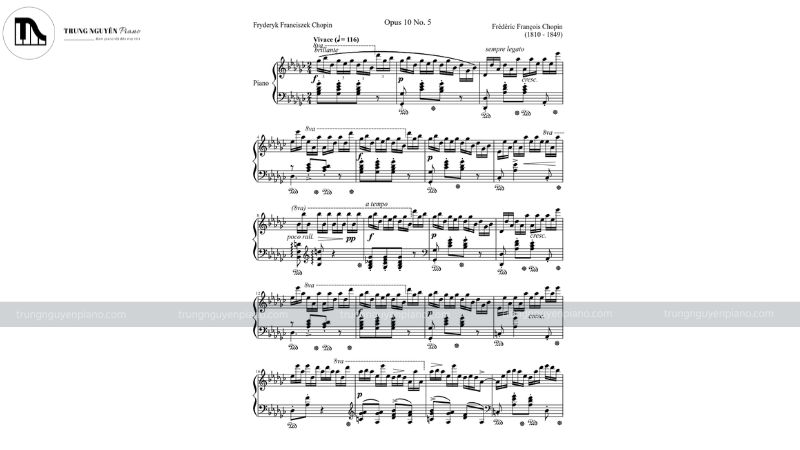 Chopin – Etude Op. 10 No. 5 "Black Key"