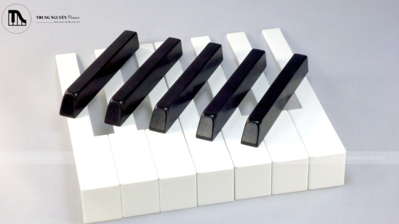 Bề mặt phím đàn piano