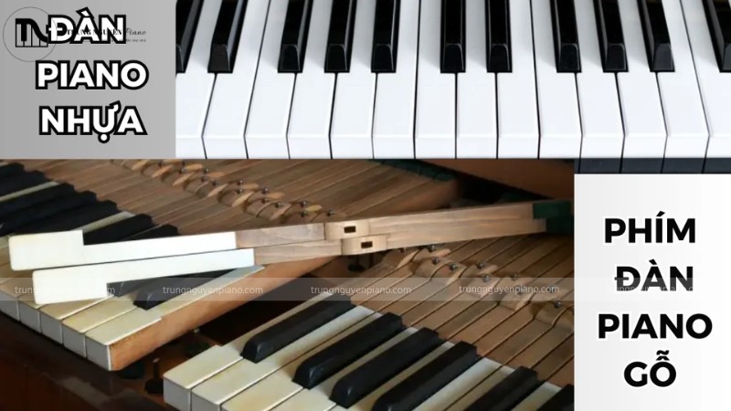 Phím đàn làm từ gỗ Vân Sam