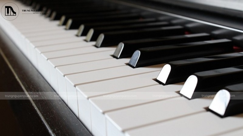 Phím đàn làm từ nhựa