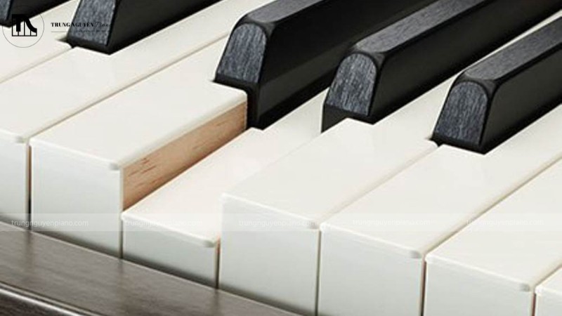 Phím ngà tổng hợp