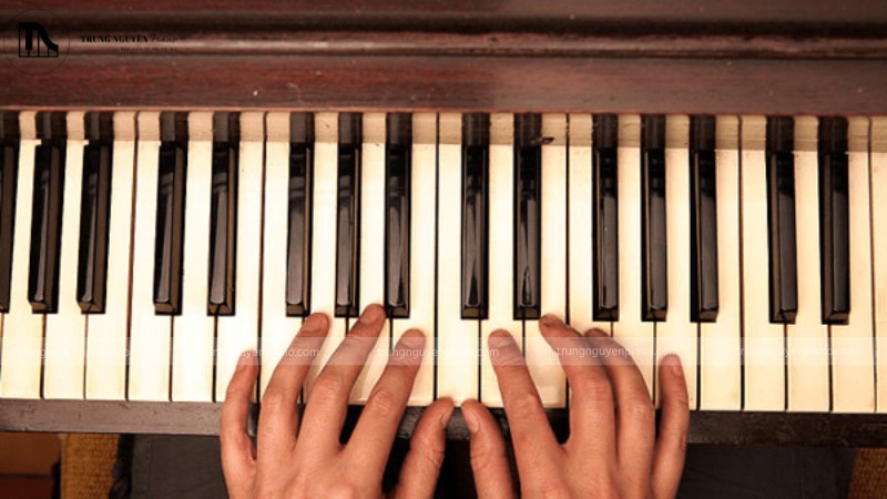 Các phím đàn được bố trí logic trên bàn phím