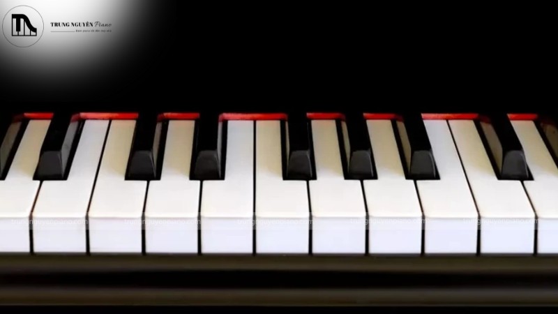 Phím đàn piano mang 2 màu sắc chủ đạo