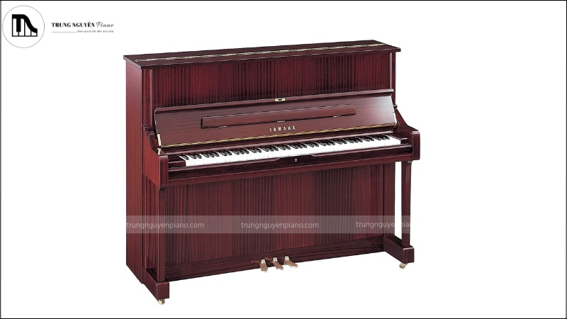 Khi mua đàn piano đã qua sử dụng, việc kiểm tra kỹ trạng thái đàn là rất quan trọng
