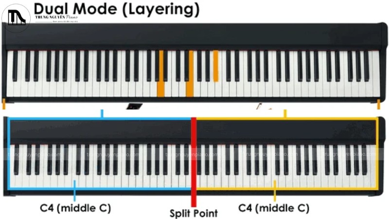 Chế độ Dual Mode và Duo Mode giúp việc chơi đàn trở nên thú vị hơn