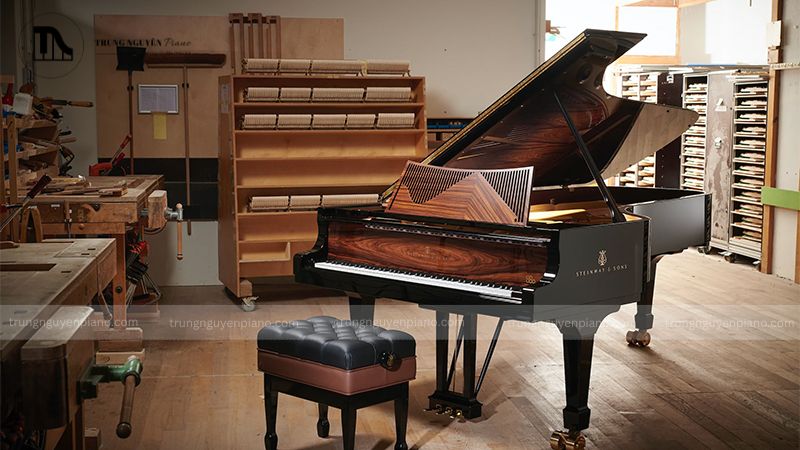 Đàn Piano Steinway & Sons - thương hiệu được giới thượng lưu và nghệ sĩ yêu thích 15 Cách kiểm tra đàn Steinway cũ để tránh mua phải hàng kém chất lượng