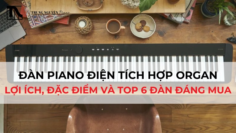 Đàn piano điện tích hợp Organ - Lợi ích, đặc điểm và top 6 đàn đáng mua