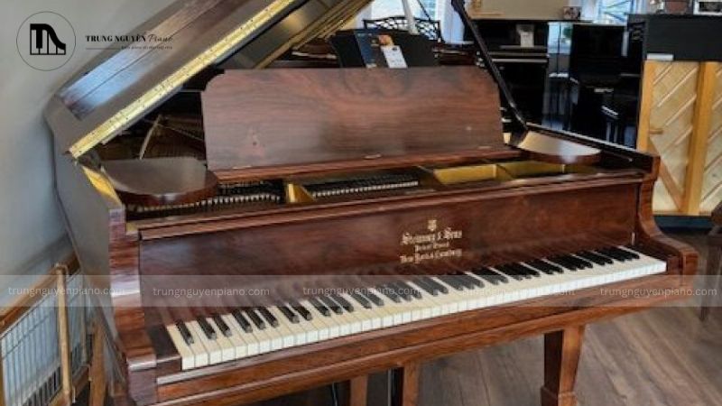 Đàn Piano Steinway & Sons - thương hiệu được giới thượng lưu và nghệ sĩ yêu thích 12 Di sản văn hóa và nghệ thuật được truyền lại cho thế hệ sau