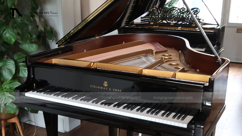 Đàn Piano Steinway & Sons - thương hiệu được giới thượng lưu và nghệ sĩ yêu thích 10 Giá trị của việc sở hữu một cây đàn piano Steinway không chỉ về vật chất