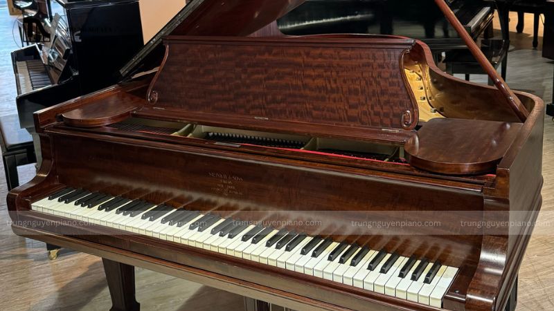 Đàn Piano Steinway & Sons - thương hiệu được giới thượng lưu và nghệ sĩ yêu thích 11 Khẳng định vị thế và gu thẩm mỹ tinh tế của chủ sở hữu