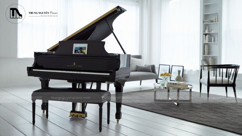 Đàn Piano Steinway & Sons - thương hiệu được giới thượng lưu và nghệ sĩ yêu thích 14 Những yếu tố cần xem xét khi lựa chọn đàn Steinway