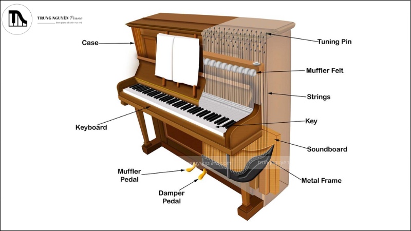 Đàn Piano Spinet là gì? - Ưu và Nhược điểm, có nên mua không? 4 Minh họa bộ máy cơ của Spinet Piano