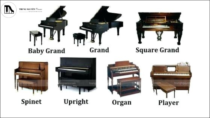 Đàn Piano Spinet là gì? - Ưu và Nhược điểm, có nên mua không? 6 Các loại đàn Piano