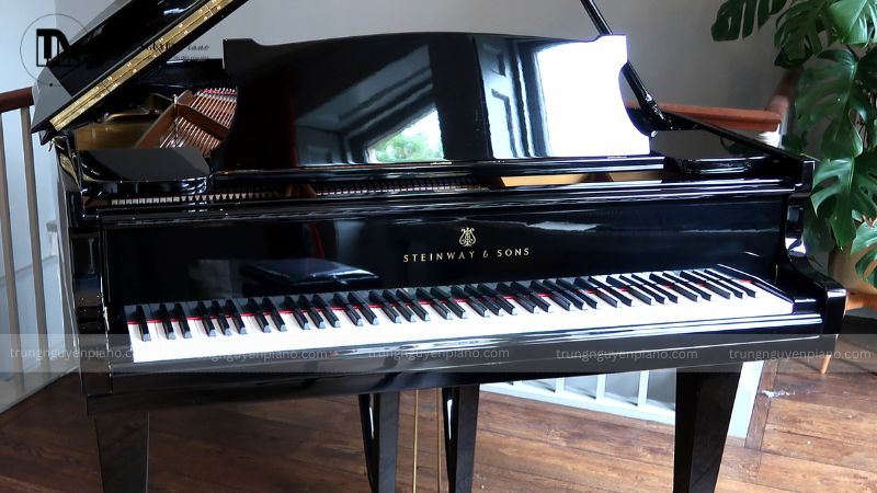 Đàn Piano Steinway & Sons - thương hiệu được giới thượng lưu và nghệ sĩ yêu thích 5 Vật liệu cao cấp và độc quyền
