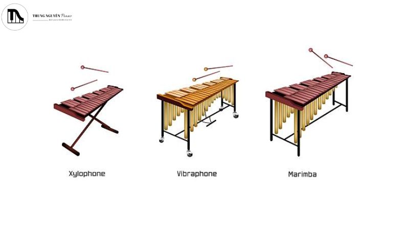 Các loại nhạc cụ Xylophone, Marimba, Vibraphone.