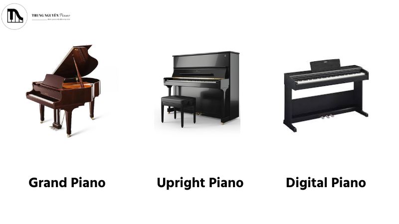 Các loại piano phổ biến