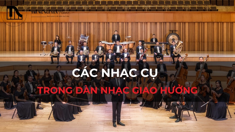 Tìm hiểu về các nhạc cụ trong dàn nhạc giao hưởng đầy và chi tiết nhất