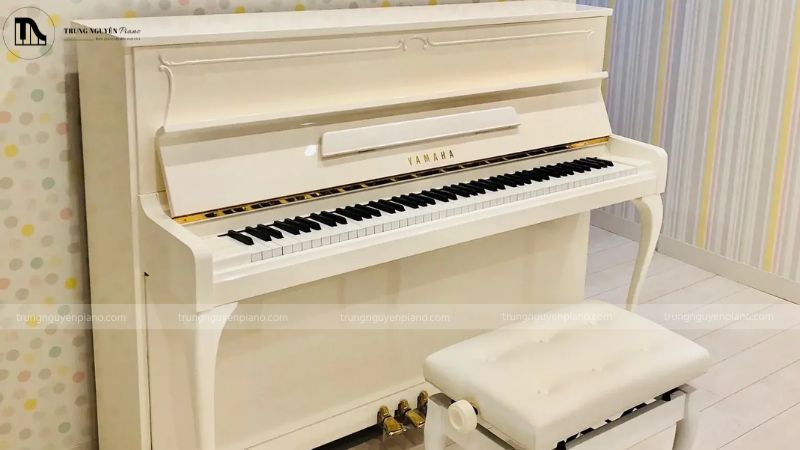 Đàn piano màu trắng ánh kim trong phòng trà