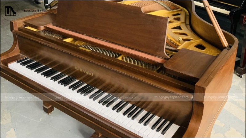 Cách làm đàn piano cơ chi tiết - Quy trình sản xuất tạo nên kiệt tác nghệ thuật 1 Gỗ là vật liệu chủ đạo trong chế tạo đàn piano