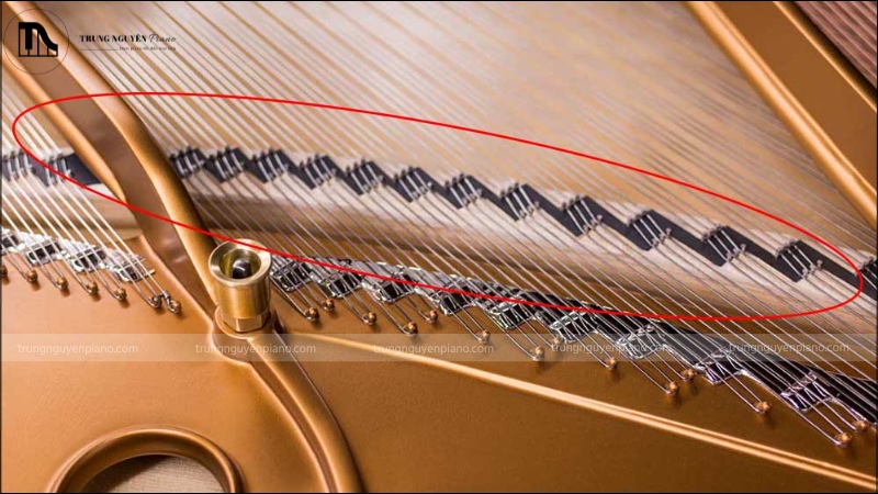 Cách làm đàn piano cơ chi tiết - Quy trình sản xuất tạo nên kiệt tác nghệ thuật 3 Bảng cộng hưởng của đàn Piano