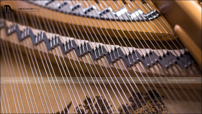 Cách làm đàn piano cơ chi tiết - Quy trình sản xuất tạo nên kiệt tác nghệ thuật 5 Cách làm đàn Piano cơ