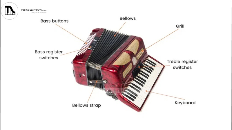Đàn Accordion Là Gì? Hướng Dẫn Cho Người Mới Bắt Đầu Từ A-Z 2 Cấu tạo chi tiết của đàn Accordion
