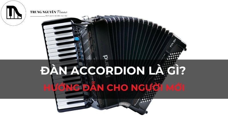 Đàn Accordion Là Gì? Hướng Dẫn Cho Người Mới Bắt Đầu Từ A-Z