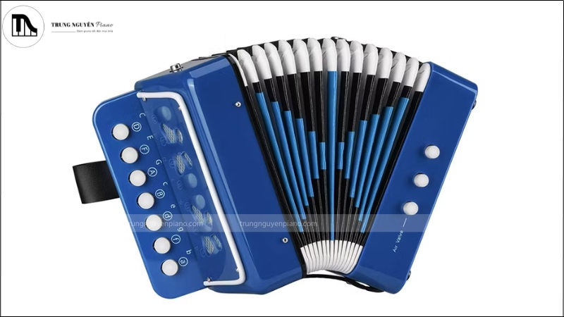 Đàn Accordion Là Gì? Hướng Dẫn Cho Người Mới Bắt Đầu Từ A-Z 4 Accordion Nút với các nút bấm đặc trưng
