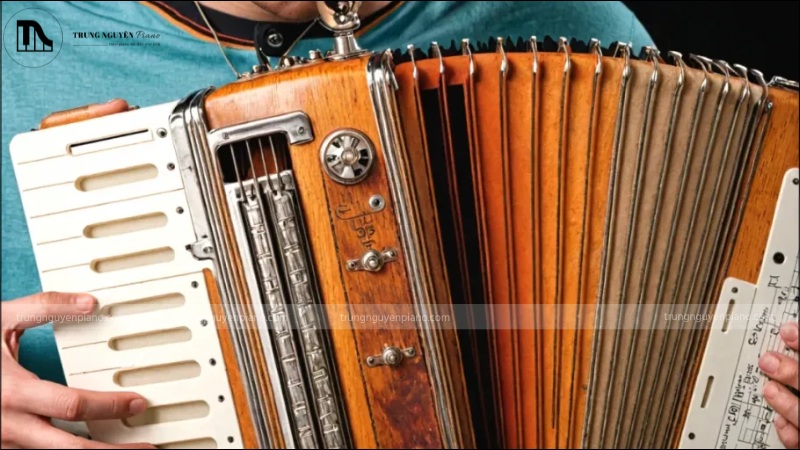 Đàn Accordion Là Gì? Hướng Dẫn Cho Người Mới Bắt Đầu Từ A-Z 7 Kinh nghiệm khi học đàn Accordion