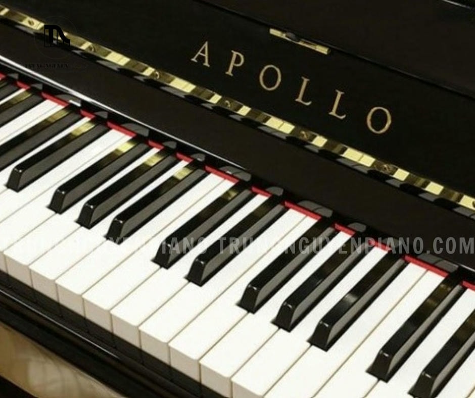 Đàn Piano Apollo A123CM 8 Đàn Piano Apollo A123CM được thiết kế với độ nhạy cao, mang lại cảm giác chơi đàn chân thực