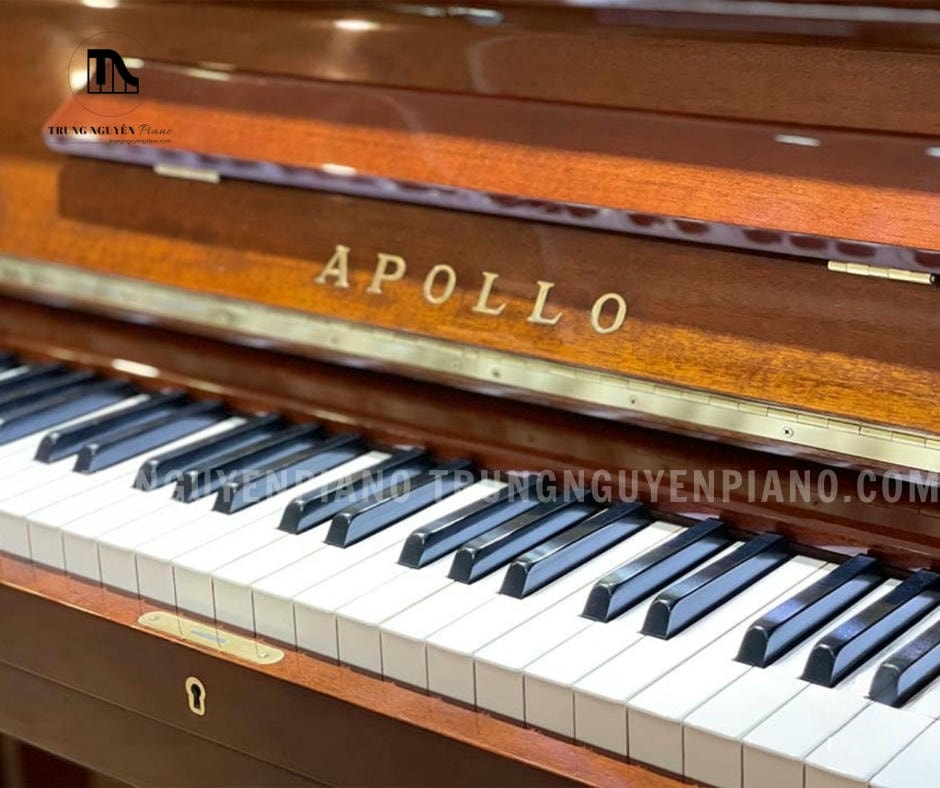 Đàn Piano Apollo A360 15 Đàn Piano Apollo A360 sở hữu bàn phím của Apollo A360 gồm 88 phím, được làm từ chất liệu Phenolic Resin