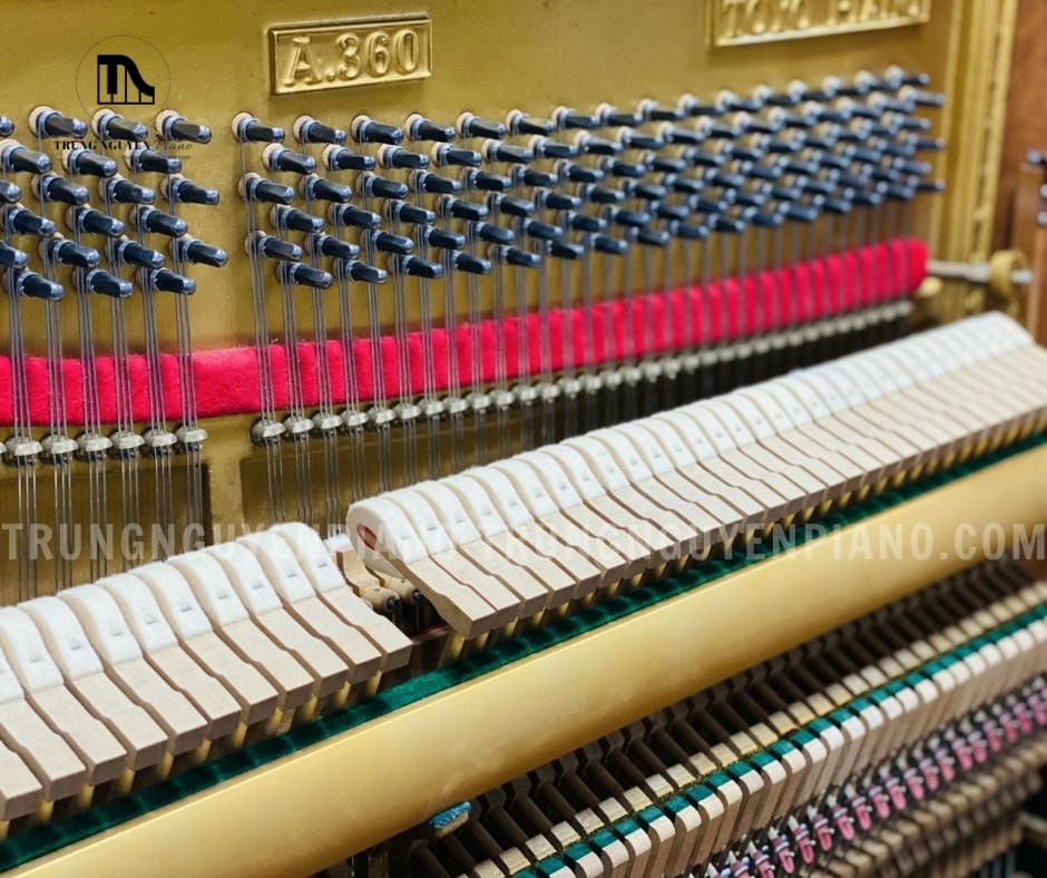 Đàn Piano Apollo A360 5 Đàn Piano Apollo A360 có búa đàn làm từ vật liệu cao cấp mang lại giai điệu tối ưu và độ bền cao