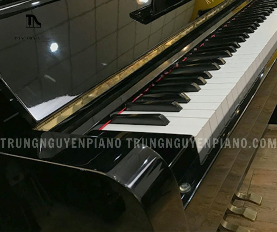 Đàn Piano Apollo A5 sử dụng hệ thống 88 phím chất liệu Phenolic Resin, mang lại cảm giác lướt phím mượt mà