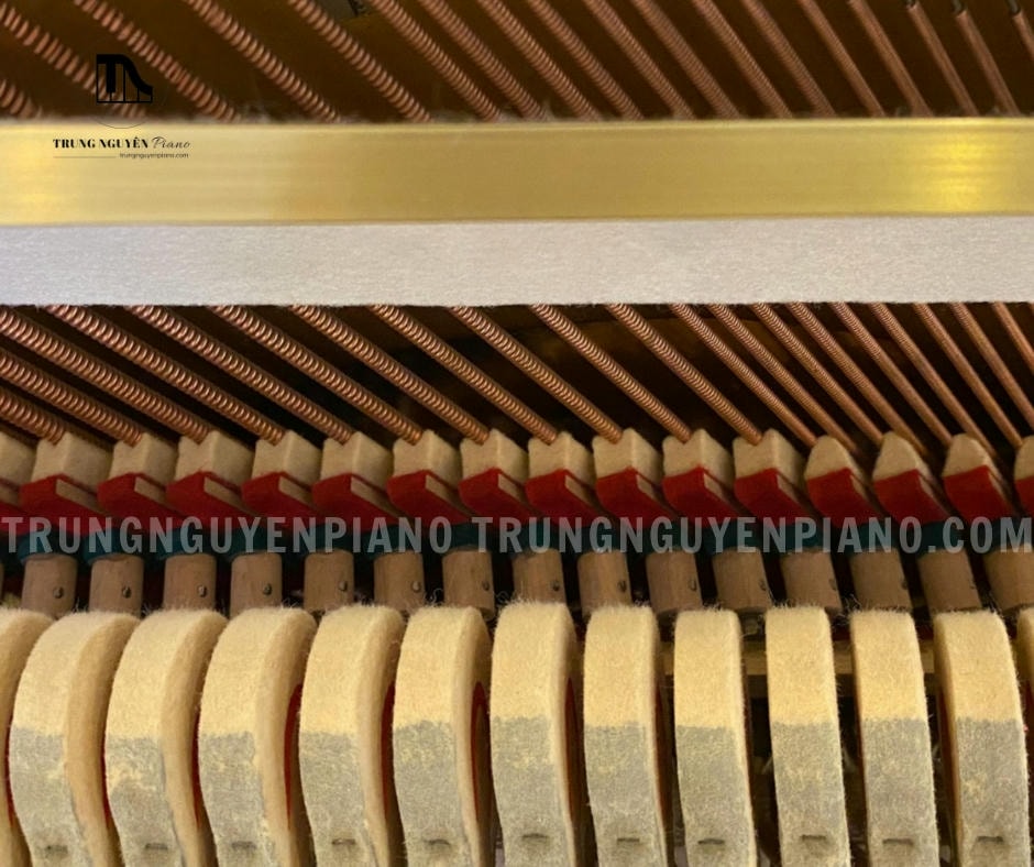 Đàn Piano Apollo A7 4 Đàn Piano Apollo A7 có búa đàn mang lại giai điệu tối ưu và độ bền cao
