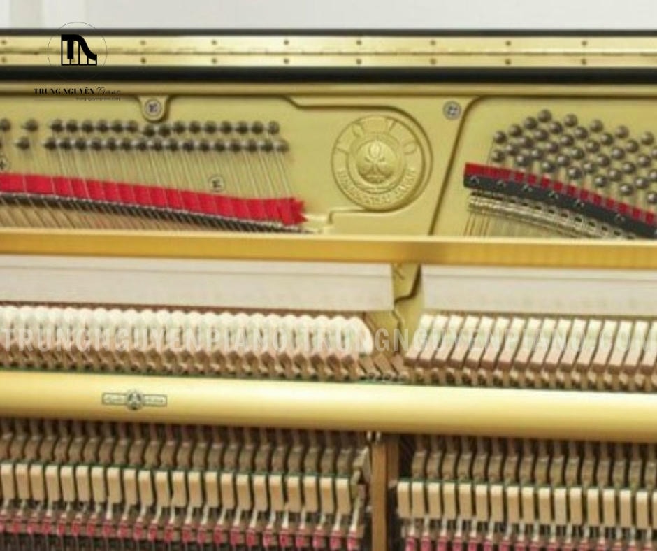 Đàn Piano Apollo AW800 4 Đàn Piano Apollo AW800 có bảng cộng hưởng (Soundboard) được làm từ gỗ vân sam nguyên khối