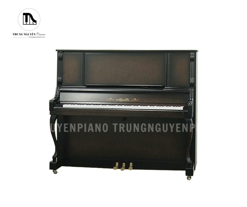 Đàn Piano Apollo AW800 có thiết kế sang trọng, âm thanh đẳng cấp