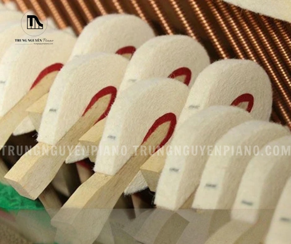 Đàn Piano Apollo AW800 5 Đàn Piano Apollo AW800 có búa đàn được làm từ lông cừu tự nhiên chất lượng cao.