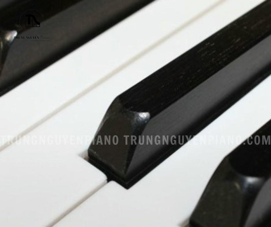 Đàn Piano Apollo MU600 3 Đàn Piano Apollo MU600 với bàn phím gồm 88 phím cao cấp