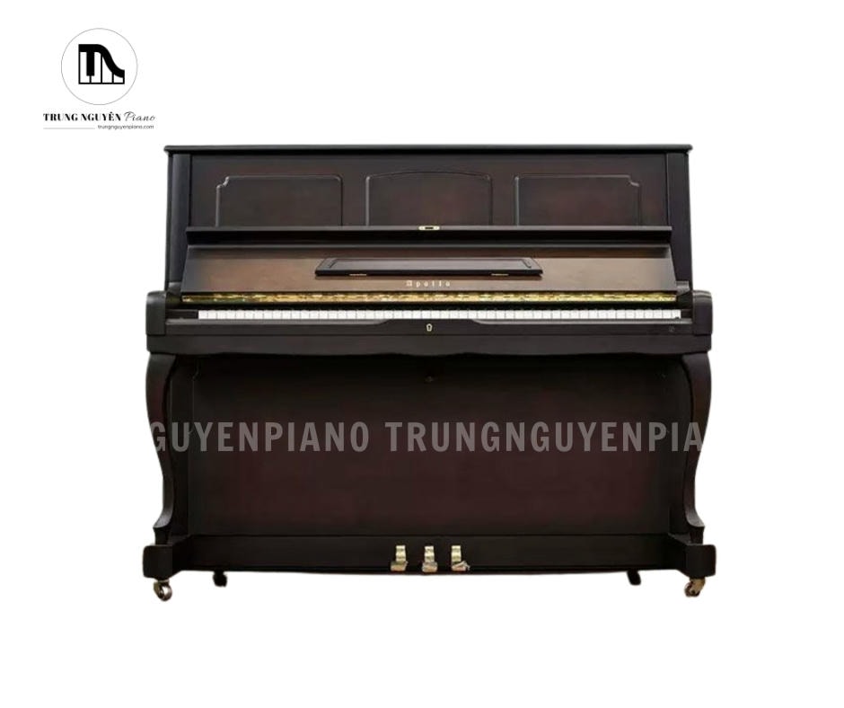 Đàn Piano Apollo MU700 thuộc phân khúc tầm trung