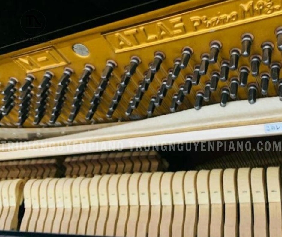 Đàn Piano Atlas M1 4 Đàn Piano Atlas M1 có búa đàn được bọc nỉ cao cấp
