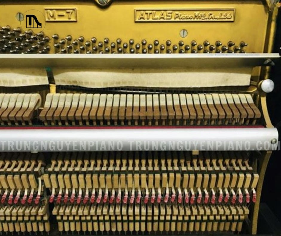 Đàn Piano Atlas M7 4 Đàn Piano Atlas M7 có búa đàn được làm từ lông cừu cao cấp