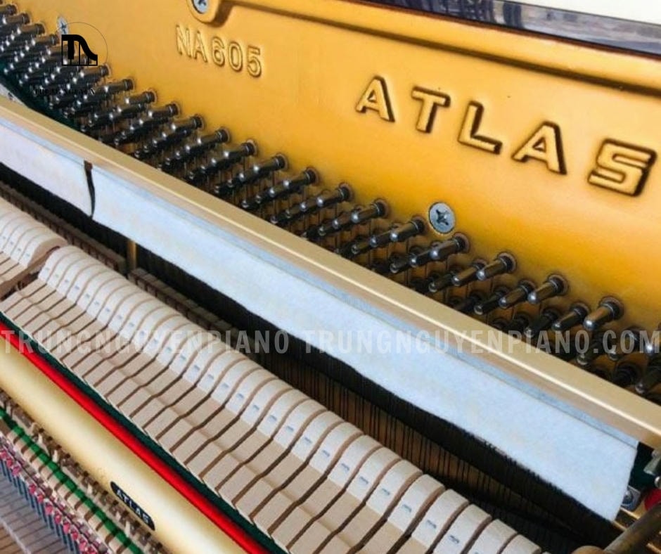 Đàn Piano Atlas NA605 10 Đàn Piano Atlas NA605 có âm thanh tinh tế, trầm ấm