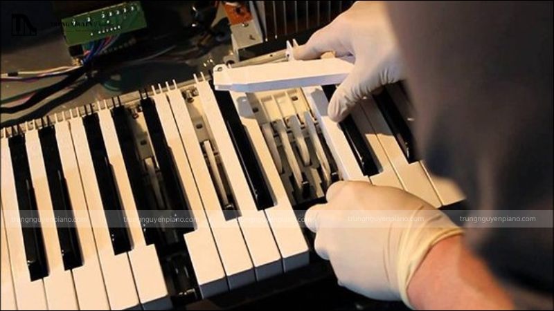 Đàn piano điện 88 phím: lựa chọn hoàn hảo cho người mới và chuyên nghiệp 10 Nên chọn đàn có bảo hành từ 1-2 năm để đảm bảo sử dụng lâu dài
