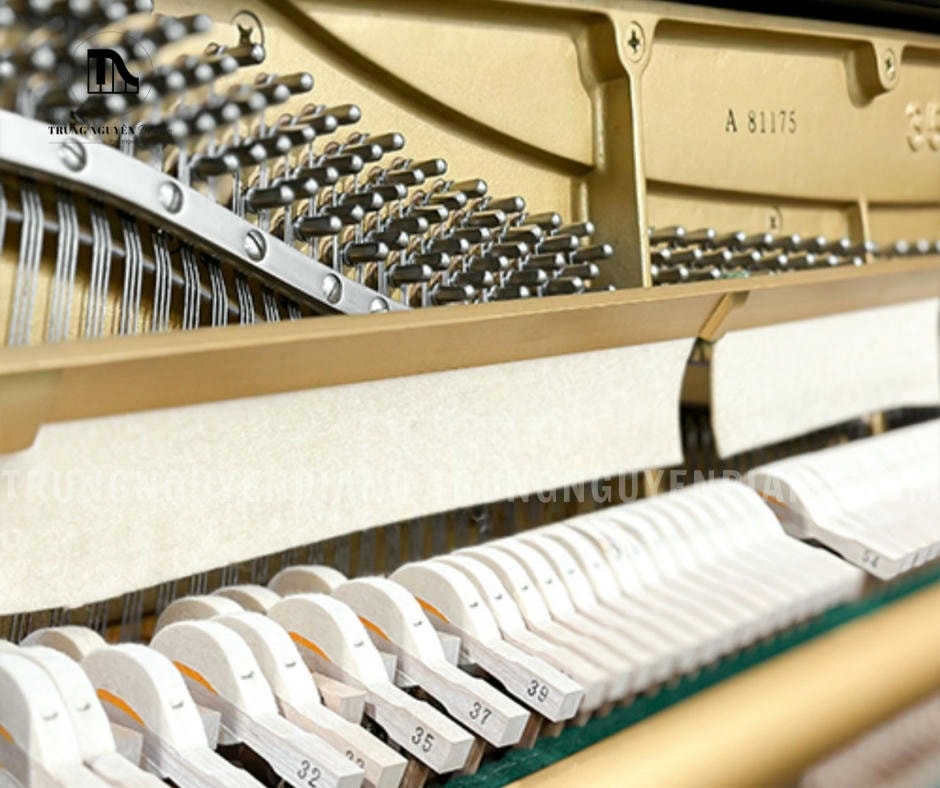 Đàn Piano Eterna 35 15 Đàn Piano Eterna 35 có âm thanh được đánh giá cao, trong sáng, tinh tế