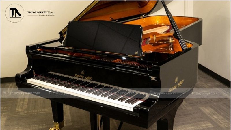 Đàn Piano gỗ cao cấp: Tìm hiểu về các thương hiệu châu âu danh tiếng 9 Bảng so sánh chi tiết 4 thương hiệu: